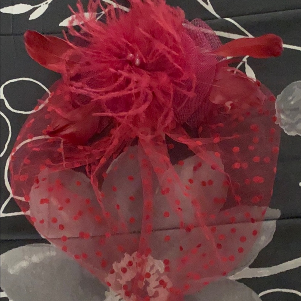 Hair clip/hat